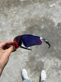 IMG-6845